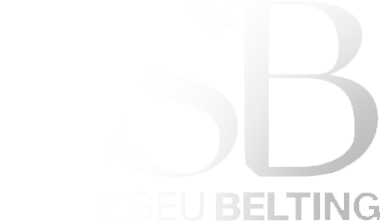 ssb ssb